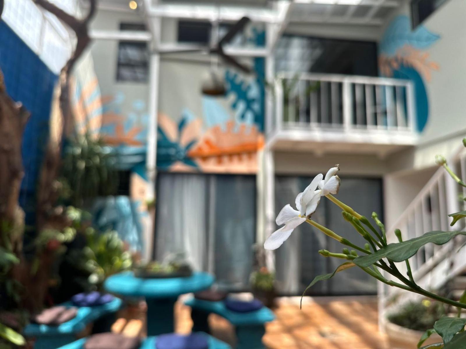 Jungla Urbana, Bnb Pavas Exterior photo